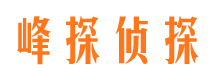 比如捉小三公司